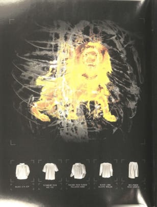 1000664 - 002 - Image